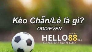 Kèo chẵn lẻ là gì? Là một bet thủ cần phải biết đến