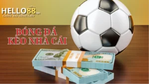 cách cá cược bóng đá với những dạng kèo chính