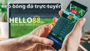 Bet thủ nên biết cách tính tiền kèo bóng đá trực tuyến