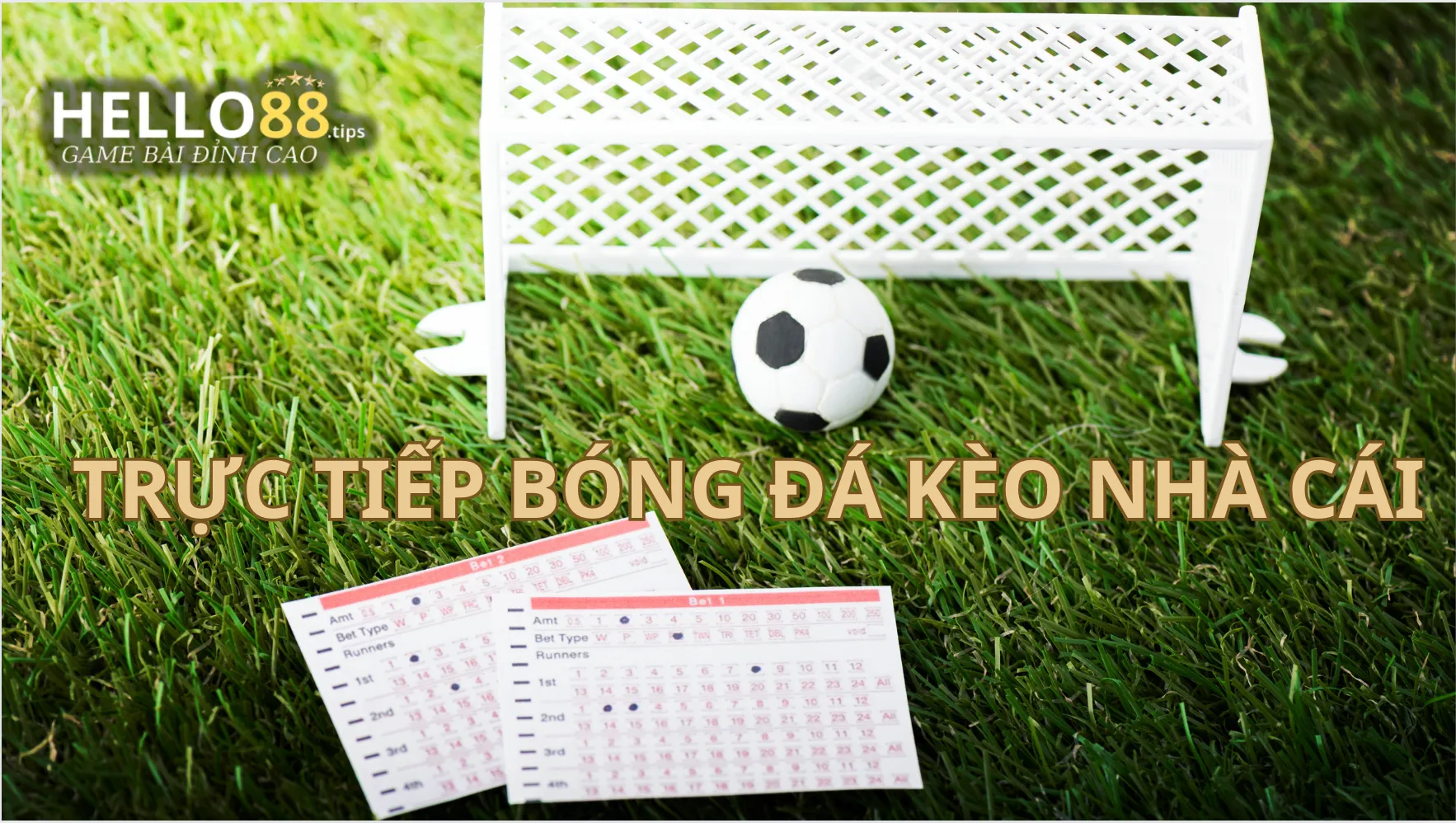 Những kèo thơm nên tham gia cá cược