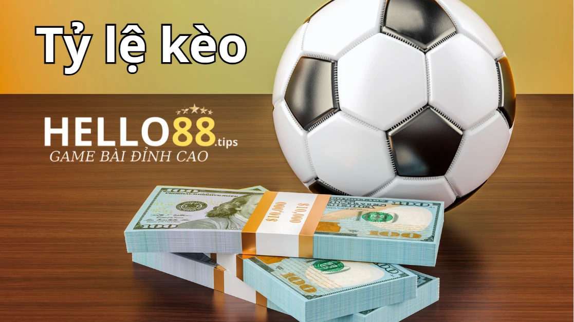 Tỷ lệ kèo là gì hay còn gọi là odds Tỷ lệ kèo là gì hay còn gọi là odds