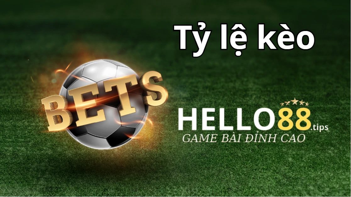 Những tỷ lệ kèo phổ biến trong cá cược bóng đá Những tỷ lệ kèo phổ biến trong cá cược bóng đá
